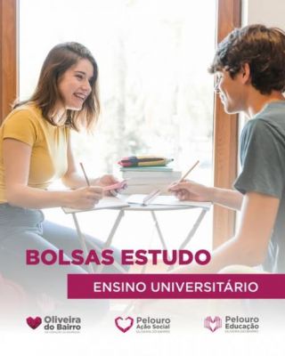 Bolsas de Estudo e Outros Apoios ao Ensino Superior