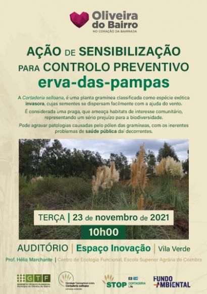 Sessão de sensibilização para o controlo preventivo da erva-das-pampas.